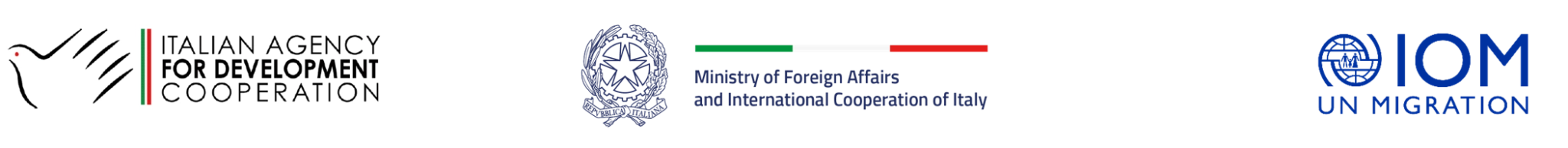 Objavljen Zahtjev za ponudu za izradu informativnog vodiča za dijasporu iz BiH